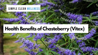 Health benefits of Chasteberry  Vitex [upl. by Eleanor]