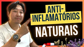 7 fantásticos ANTIINFLAMATÓRIOS naturais [upl. by Inge]