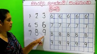 සංඛ්‍යාංක නිවැරදිව ඉගෙන ගනිමු  Grade 1 Maths  ඉලක්කම්  Ilakkam 1 වසර ගණිතය  Numbers 2022 [upl. by Maxwell152]