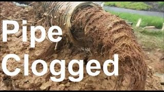 How to Unclog Underground Drainage Pipe  Step by Step Guide [upl. by Enaujed899]