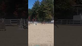 He crushed it at this schooling show [upl. by Ader848]