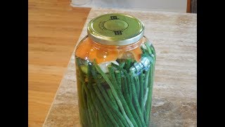 Make Pickled Green Beans Vegetables Vinegar Fermenting Canning Yard Long Beans [upl. by Reiter863]