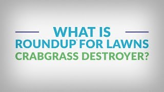 How to Use Roundup® for Lawns Crabgrass Destroyer with Comfort Wand [upl. by Alisen483]