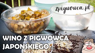 Wino z Pigwowca Japońskiego  zdrowy smaczny trunek  cz1 Jak wygląda pigwa a jak pigwowiec [upl. by Nimrak]