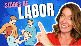 Stages of Labor Explained by a Womens Health PA [upl. by English]