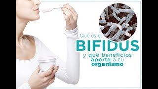 Qué es el Bifidus y qué Beneficios aporta a tu Organismo [upl. by Litnahc]