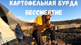 Van Life Vlog 🌅Картофельная Бурда🐨Бессмертие🙈 [upl. by Imac]