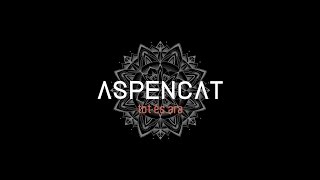 ASPENCAT  Tot és ara Disc complet [upl. by Enyad]