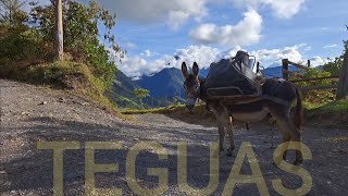 LOS TEGUAS Un pueblo que se resiste a desaparecer [upl. by Nidnerb]