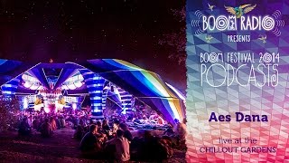 Aes Dana  Chill Out Gardens 02  Boom Festival 2014 [upl. by Isoais]