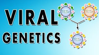 Reassortment Phenotypic mixing Recombination and Complementation [upl. by Jezebel755]