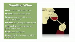 Wine Basics from My Wine Smarts [upl. by Chiou27]