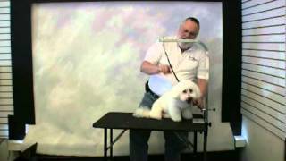 Groomers Helper  Quick Start Training [upl. by Hanshaw820]