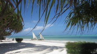 Sandies neptune Pwani beach Zanzibar please subscribe this channel [upl. by Alic494]