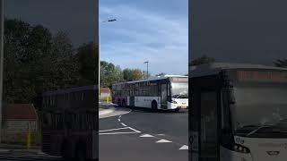 Transdev  Connexxion 4317 ex ONinIJ 4317  vdl citea xle  VDL Citea XLE145 [upl. by Eanahs728]