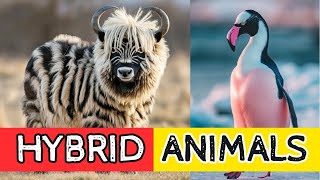 Animals Across the Multiverse 🤩 Hybrid Animals That Might Have Existed [upl. by Drofyar]