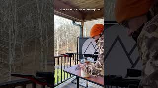 Dieseling an air rifle with GUNPOWDER huntshootlive airrifleshooting airrifles gamo pelletguns [upl. by Bathulda]