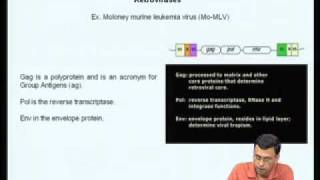 Mod08 Lec32 Eukaryotic protein expression systemsIII [upl. by Marra]