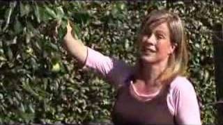 Annabel Langbein  In the Garden 2008 [upl. by Vallery]