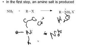 Preparation of Amines [upl. by Neroc]