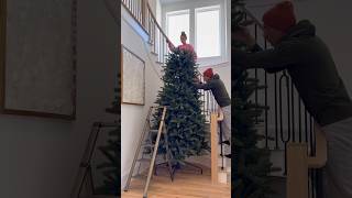 Set up our 12 foot tall Christmas tree with us 🎄 christmas holidays christmastree [upl. by Cummings]