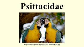 Psittacidae [upl. by Maurits]