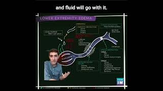 45 How does oncotic pressure and changes in big molecules cause lower extremity edema [upl. by Catina]