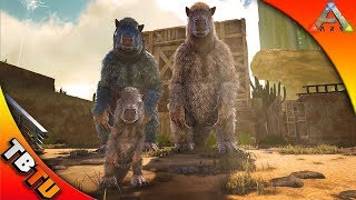 SCORCHED EARTH MEGATHERIUM TAMING AND BREEDDING ARK Survival Scorched Earth Gameplay [upl. by Mayberry]