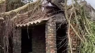 Increíble 🔥🔥🔥 El conserje limpia una casa antigua que lleva mucho tiempo abandonada por su dueño [upl. by Lamont]