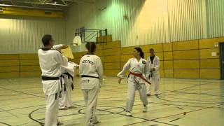 taekwondo  1e cassage Mona Bennaghmouch  ceinture rouge barre noire [upl. by Sidnala729]