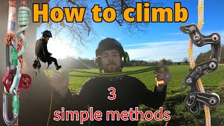 3 easy methods on how to climb a tree  Arborist training for beginners and pros [upl. by Sayer519]