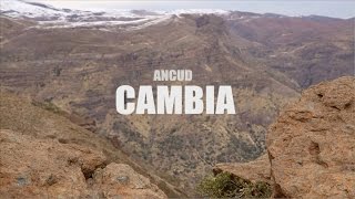 Ancud  Cambia lyric video [upl. by Chance]