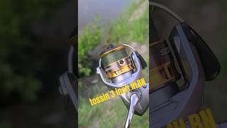 3 inch baits creek fishing fishing NLBN fishingequipment [upl. by Panayiotis]