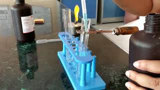 Fehlings test for carbohydrates [upl. by Roleat]