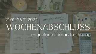 Wochenabschluss 21012601 💶 Ungleplante Tierarztrechnung 🐾 Schuldenabbau mit der Umschlagmethode [upl. by Oicapot]