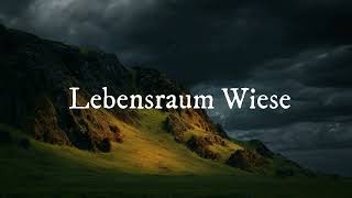 Lebensraum Wiese [upl. by Therine]