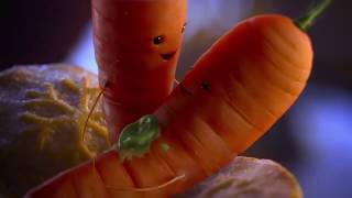 Aldi Christmas Advert 2017 Kevin The Carrot [upl. by Ramyar]