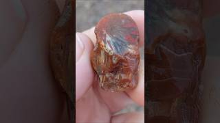 🎆 Firework Agate 🎆 agate rockhounding geology rocks nature youtubeshorts [upl. by Ariaz]