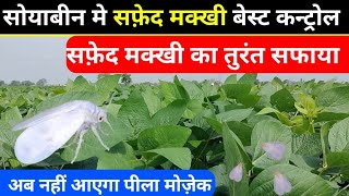 सोयाबीन मे सफ़ेद मक्खी को कैसे कंट्रोल करें  How to control white fly  सफ़ेद मक्खी की दवाई [upl. by Faxan]