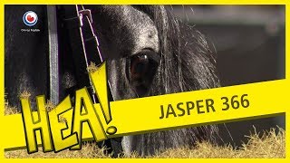 HEA Meet amp greet met Jasper 366 [upl. by Toille]