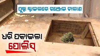 Unbelievable Act Of Ganja Challan Inspired By Movie Puspa In Odisha [upl. by Brandice]