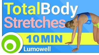 Stretching Exercises Total Body Stretches [upl. by Ehcram]