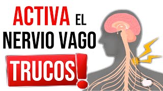 ANSIEDAD SUEÑO Y CANSANCIO  CONCENTRACIÓN y MEMORIA 💥 Consejos para Activar el Nervio Vago [upl. by Ettenowtna]