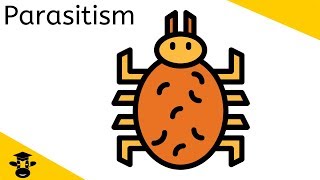 Parasitism Examples [upl. by Darton]