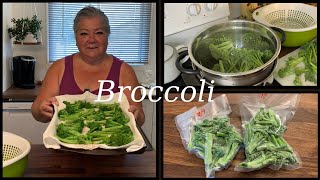 BLANCHING BROCCOLI FOR THE FREEZER [upl. by Ellison804]