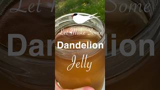 Dandelion Jelly  New England Homebody Spring Foraging  Recipe In Description [upl. by Ayrb588]