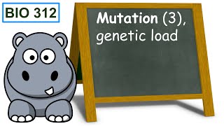 Mutation 3 genetic load [upl. by Bambi]