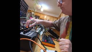 Behringer system 55 Roland aira t8  mutable clouds  Sunday acid [upl. by Yornoc]