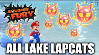 Bowsers Fury  All Lake Lapcat Cat Shine Locations [upl. by Acenom]