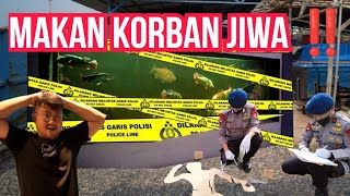 BERDUKA CITA‼️HOBIES IKAN KEHILANGAN NYAWA BERSAMA ISTRI NYA DI KOLAM IKAN MEWAH MILIKNYA [upl. by Yenaiv]